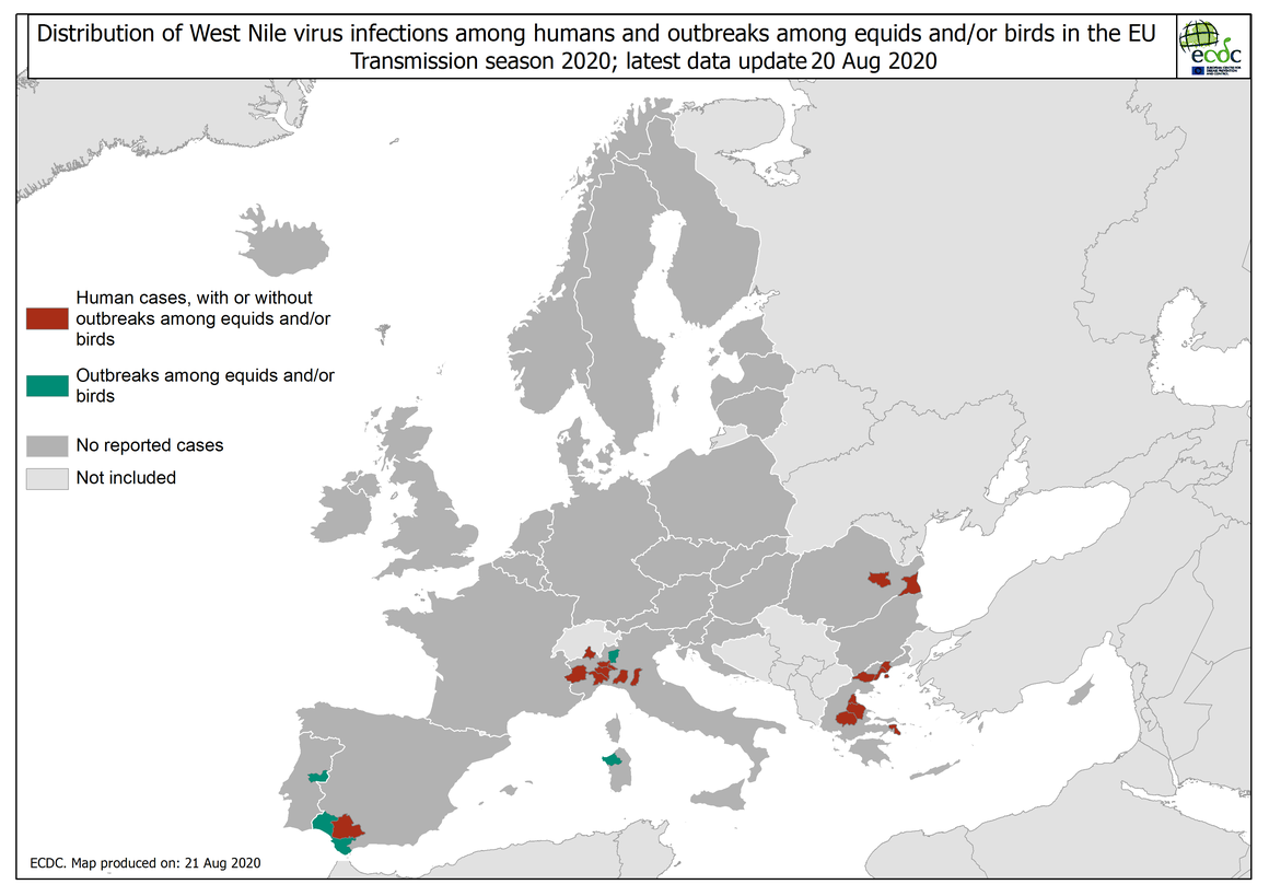 ECDC_WNF_Affected_current_season_HumanAndEquidaeBirds_EUEEA_3 20 08 2020.png