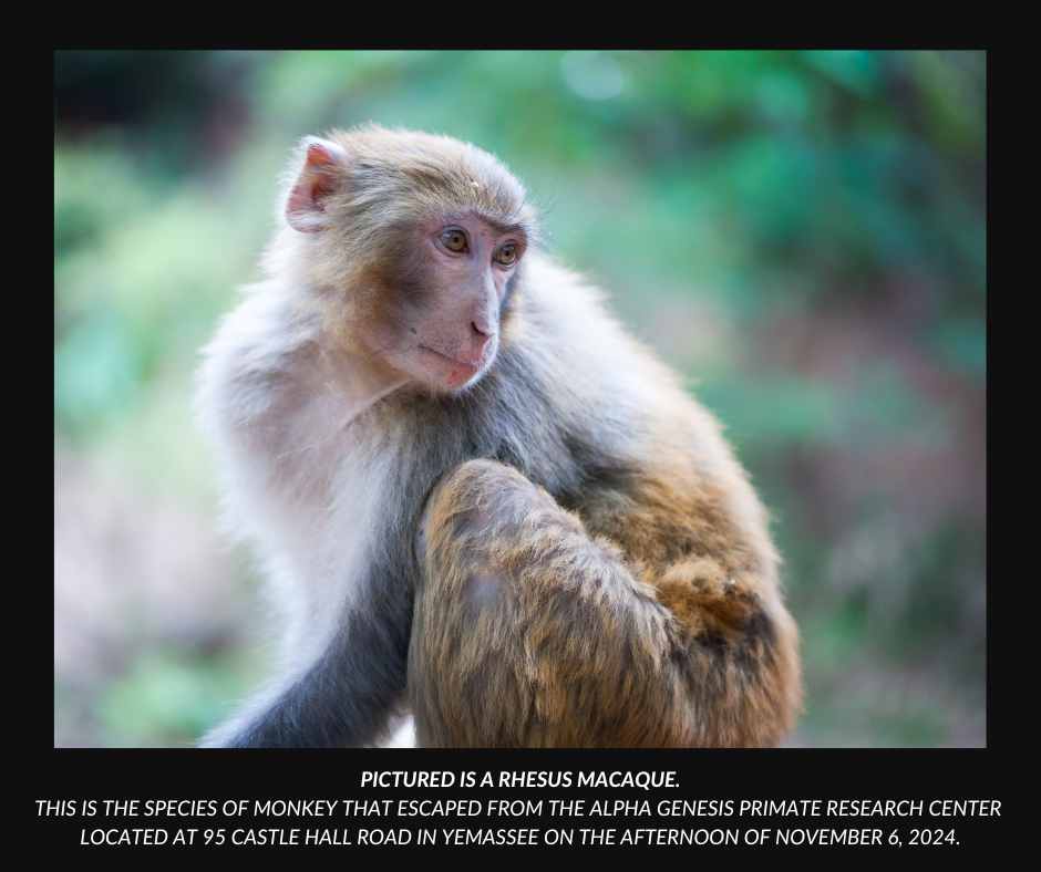 image.png - Click image for larger version  Name:	image.png Views:	1 Size:	782.3 KB ID:	1000028