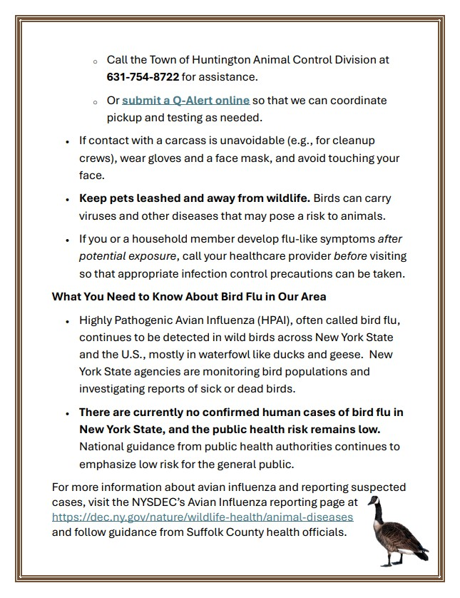 image.png - Click image for larger version  Name:	image.png Views:	1 Size:	549.6 KB ID:	1027956