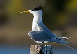 image.png - Click image for larger version  Name:	image.png Views:	2 Size:	62.4 KB ID:	1039734