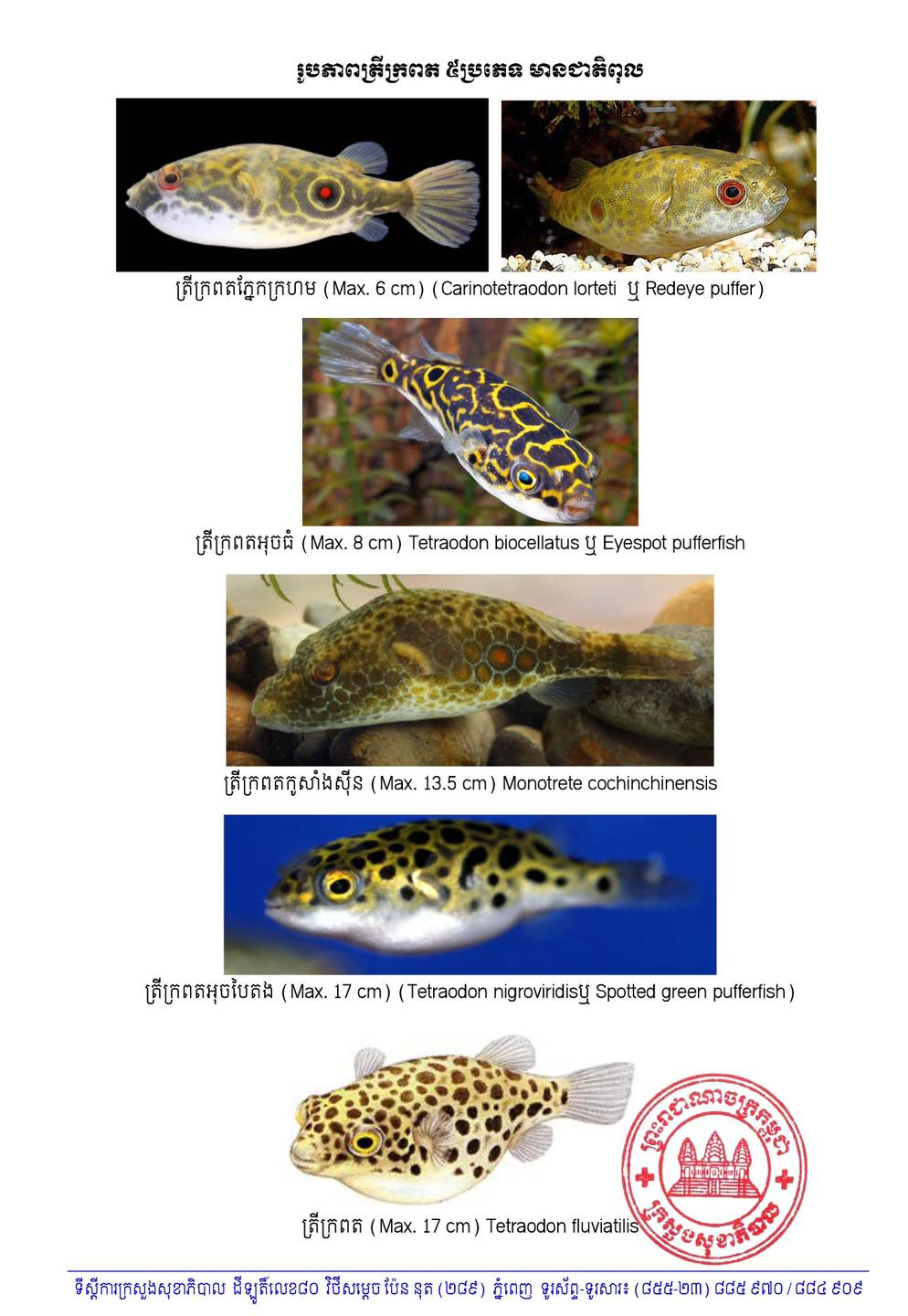 image.png - Click image for larger version  Name:	image.png Views:	1 Size:	1.11 MB ID:	993211