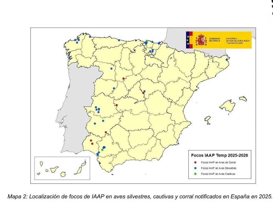 imagen.asp.jpg
