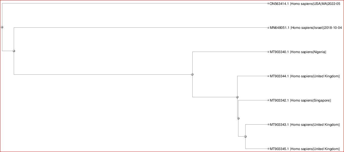 Click image for larger version  Name:	Monkeypox3.JPG Views:	2 Size:	48.6 KB ID:	949438