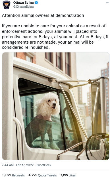 Screenshot 2022-02-18 at 02-37-53 Ottawa By-law on Twitter.png