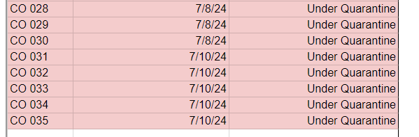 Screenshot 2024-07-12 102234.png