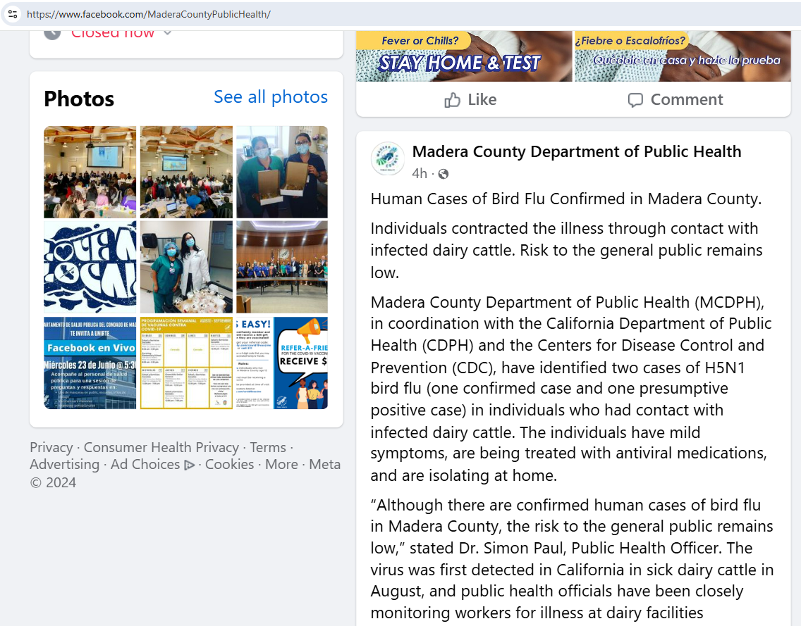 Screenshot 2024-11-14 222049.png