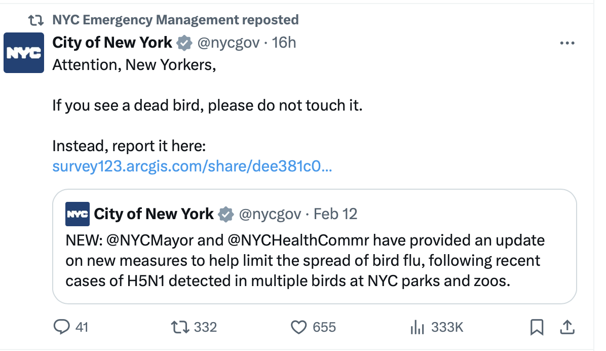 Screenshot 2025-02-14 at 4.48.19 AM.png