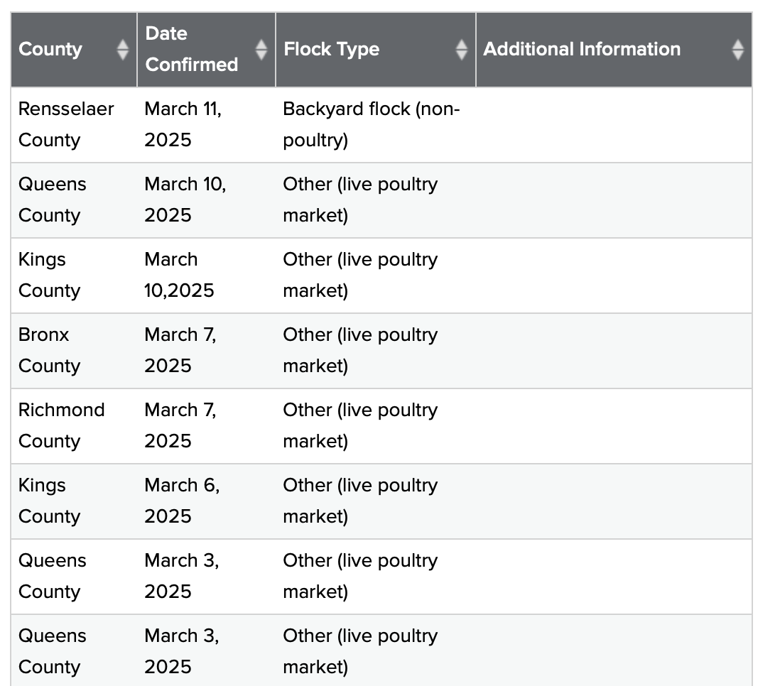Screenshot 2025-03-13 at 11.46.55 AM.png