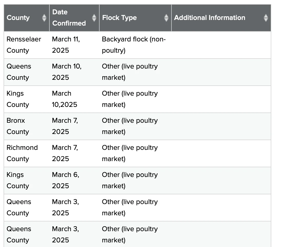 Screenshot 2025-03-13 at 11.46.55 AM.webp