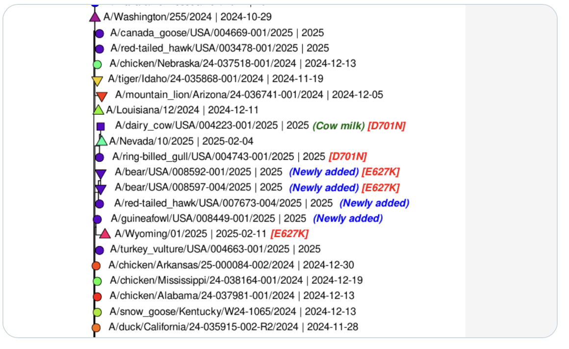 Screenshot 2025-04-01 at 6.53.12 AM.png