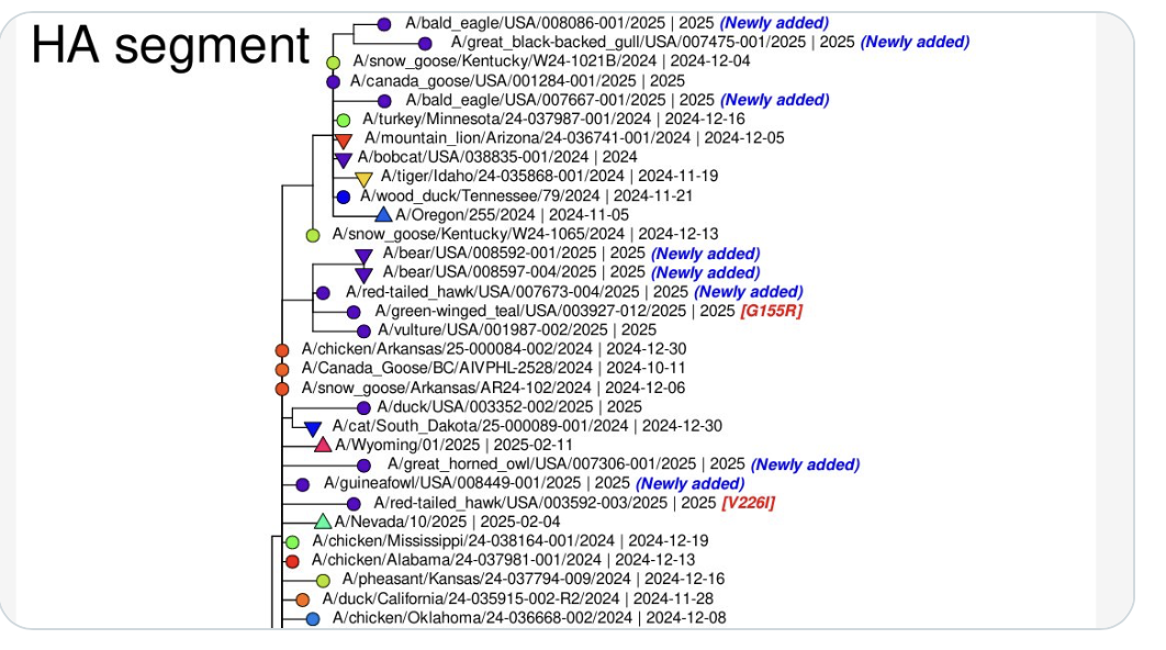 Screenshot 2025-04-01 at 6.56.36 AM.png