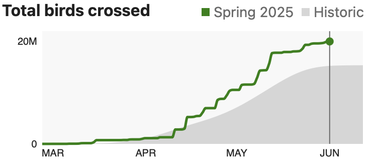 Screenshot 2025-06-05 at 4.59.00 PM.png
