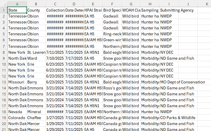 Screenshot 2025-07-25 090516.png