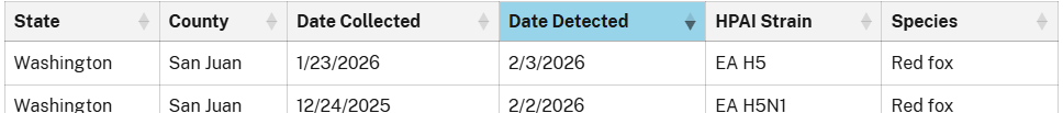 Screenshot 2026-02-12 091625.png