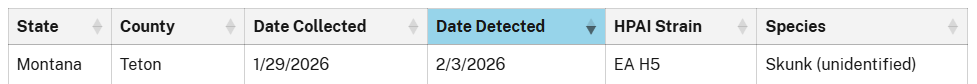 Screenshot 2026-02-12 092059.png