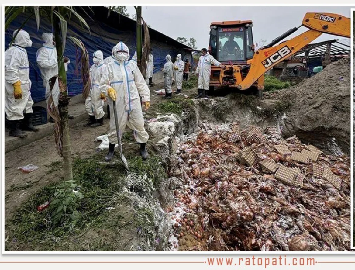 Click image for larger version  Name:	Screenshot 2026-07-10 at 6.33.20 AM.png Views:	1 Size:	1.89 MB ID:	1038129