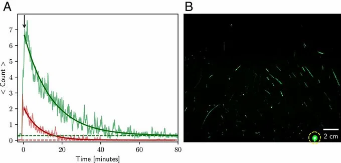 virusdruppels in de lucht 1.jpg - Click image for larger version  Name:	virusdruppels in de lucht 1.jpg Views:	1 Size:	35.2 KB ID:	860712