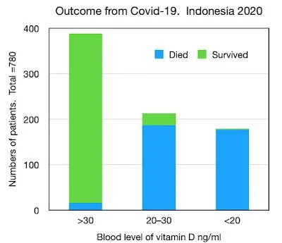 vitamine d indonesia.jpg