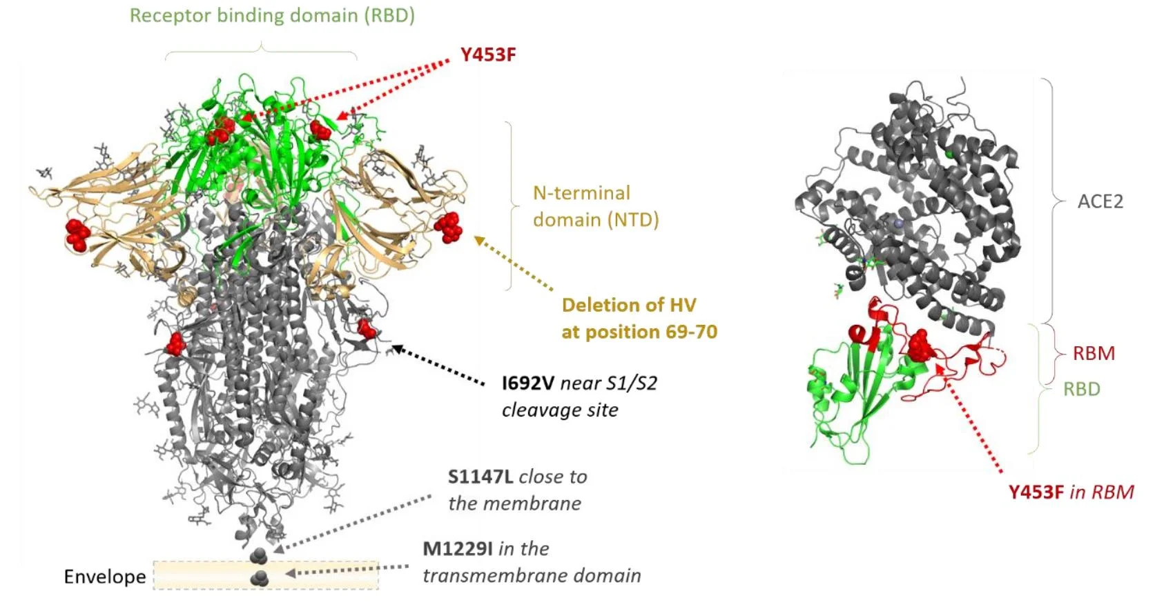 Click image for larger version  Name:	Y453F.JPG Views:	1 Size:	251.4 KB ID:	898803