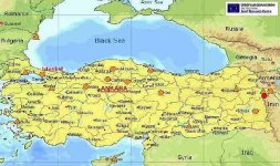 h5n1turk0206.jpg