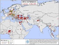 FAO - HPAI outbreaks - 01_01_06 - 05_10_06 b.JPG