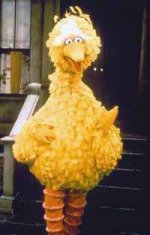 bigbird2.jpg
