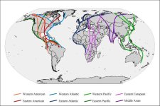 world flyways.jpg