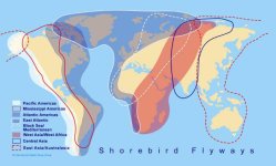 world flyways 2.jpg