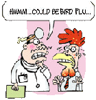 bird flu cartoon.gif