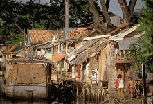 jakarta slums.gif