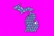 Tuscola County, Mi.webp