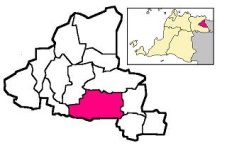 Pinang_di_Kota_Tangerang.JPG