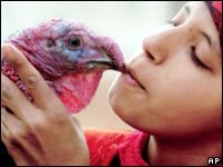 _42671923_birfeed_ap203.jpg
