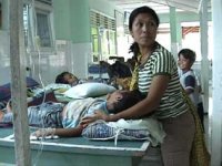 DENGUE IN LOMBOK.jpg