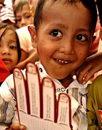 ibc_indonesia_birdflukit278.jpg