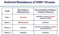 Antiviral resistance of H5N1 viruses - 02.JPG