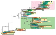fig2.jpg fig2.jpg