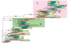 fig3.jpg fig3.jpg
