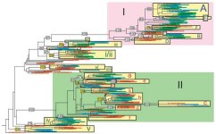 fig4.jpg fig4.jpg