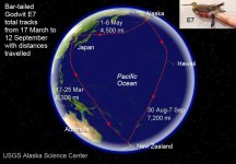 e7_tracks_distances.jpg