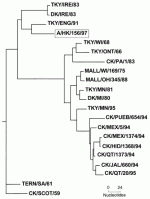 fig2.gif fig2.gif