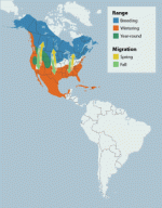 teal mig map.gif