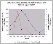 Egypt - Comparison Suspected to Human Cases 20071102.jpg
