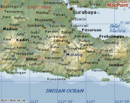 malang.gif