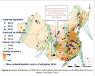 china bird flu - earthquake 20080531.jpeg