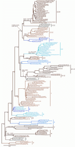 07-1681_2b.gif