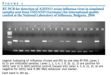 H5N1_Bulgaria_Figure12.jpg