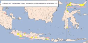 Indonesia H5N1 poultry 20110923.jpg