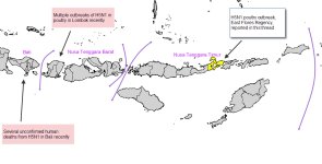 Indoneisa East Flores 20111024.jpg