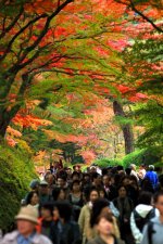 AJ2011110716824.jpg